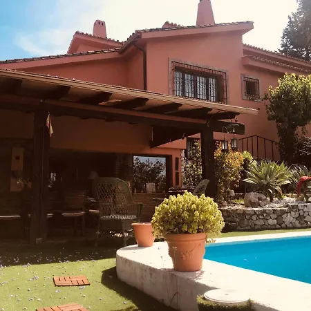 El Olivo